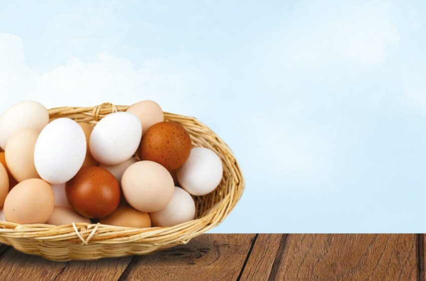  En cuesta de enero sube 25% el precio del huevo: $56 el kilo