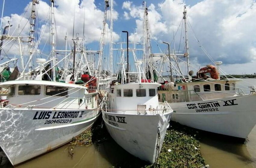  Afecta a pescadores alto costo del diesel – El Sol de Tampico