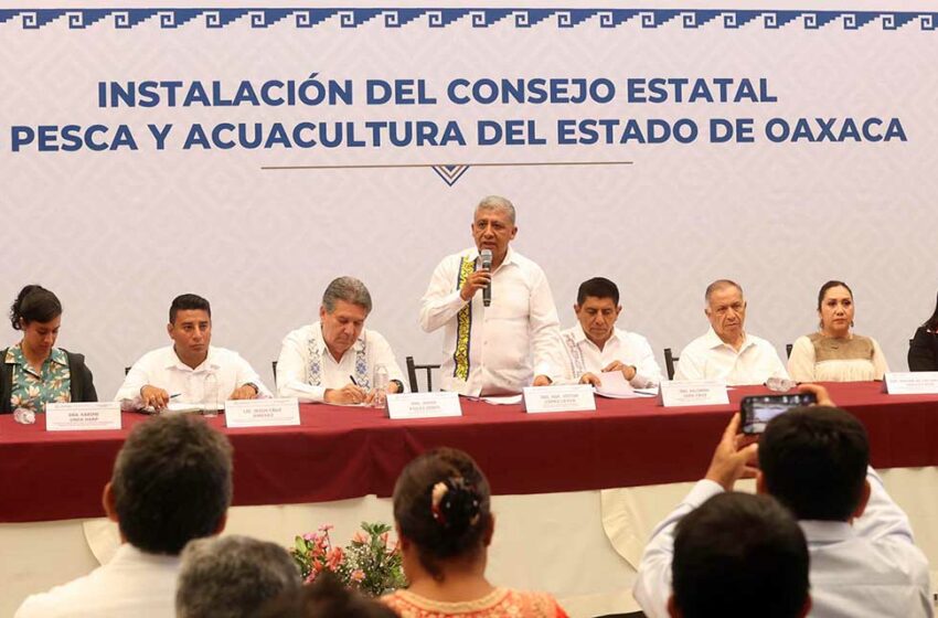  Reactiva Jara Consejo de Pesca y Acuicultura | El Imparcial de Oaxaca
