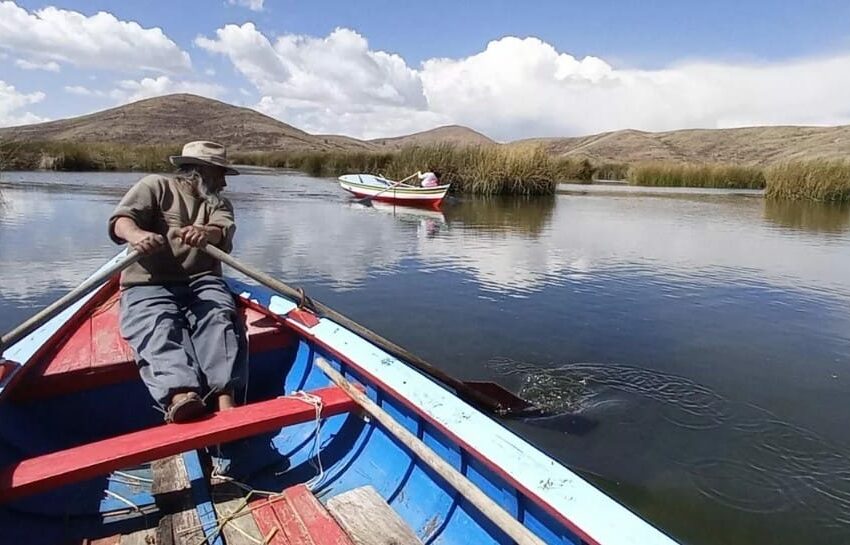  Siembran Peces para Mantener con Vida el Lago Titicaca en Bolivia – Diario Cambio 22