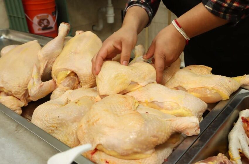  Sigue alza en carne, huevo, pollo y tortilla – Diario de Querétaro