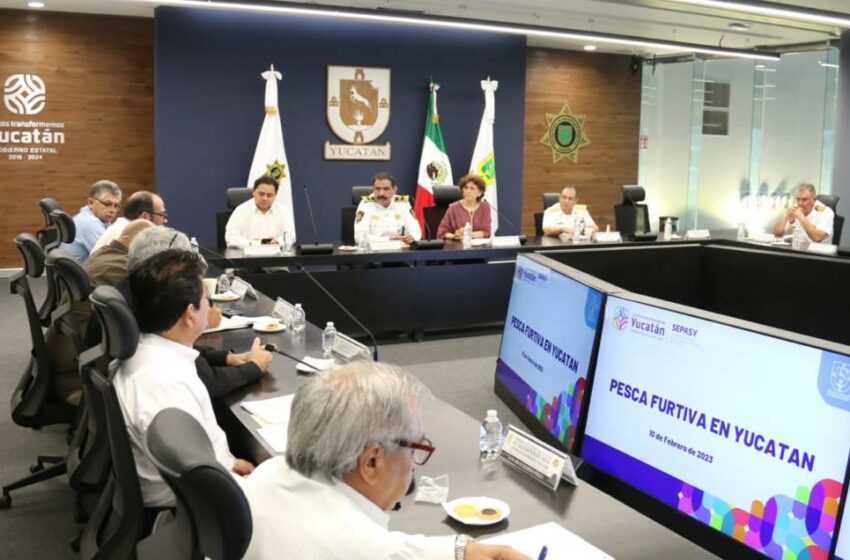  Reforzarán operativos contra la pesca furtiva – Noticias de Yucatán