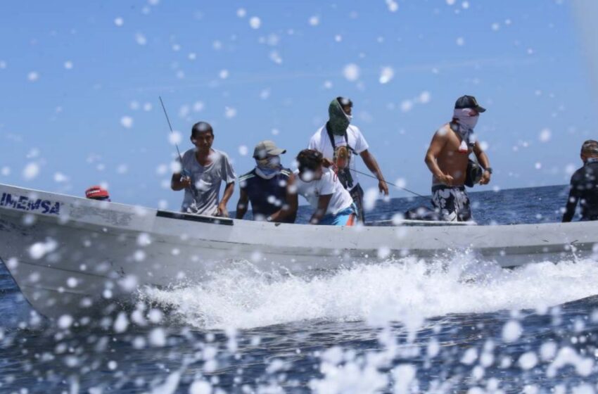  Contra furtivos: pescadores tomaron la vigilancia en costas de Yucatán | La Verdad Noticias