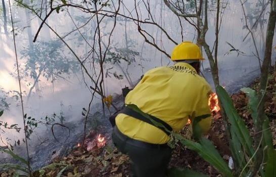  Se registran incendios forestales en Barahona; bomberos están trabajando para sofocarlos