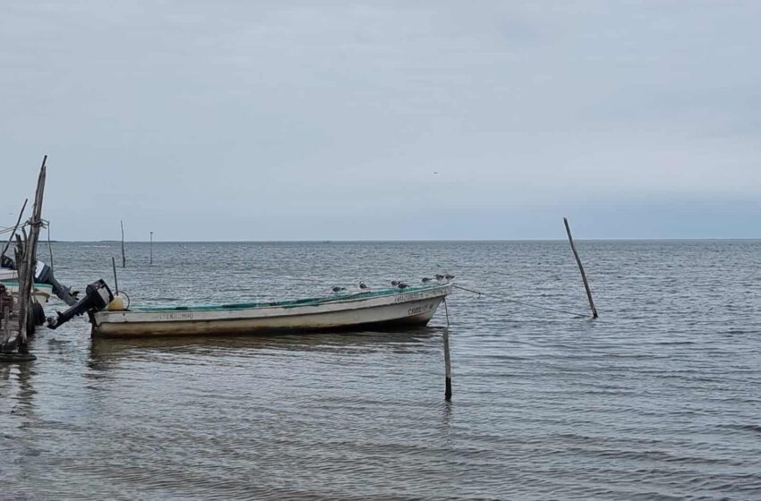  Suspenden pesca por fuerte oleaje – La Tarde de Reynosa