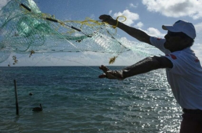  Restaurantes de Isla Mujeres se abastecen de mariscos en Yucatán – PorEsto