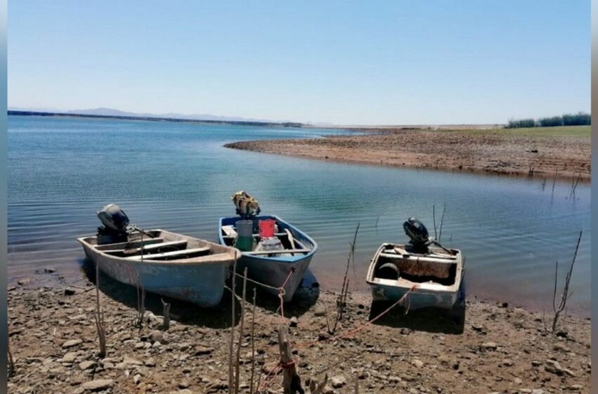  Pescadores emigran del Sur de Sonora por miedo a tiburones y desempleo – Tribuna