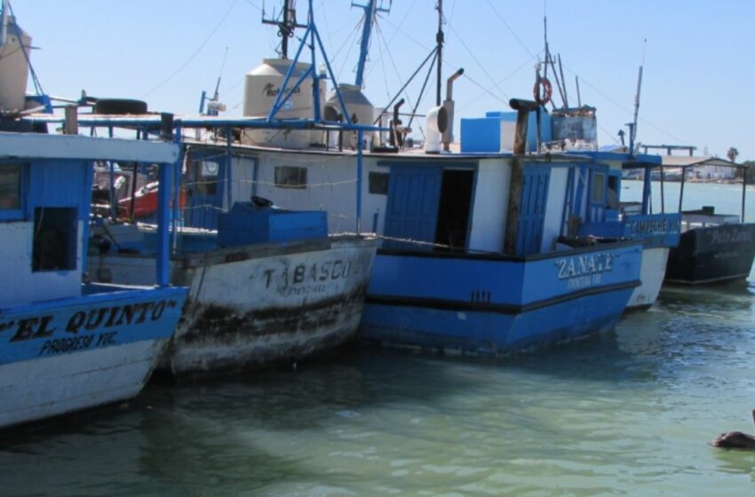  Gobierno de México, señalado en pesca furtiva – Diario de Yucatán