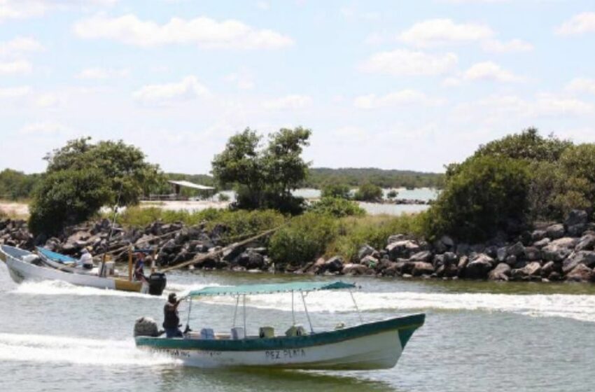  Denuncian pesca ilegal de pulpo y mero en Celestún – Diario de Yucatán