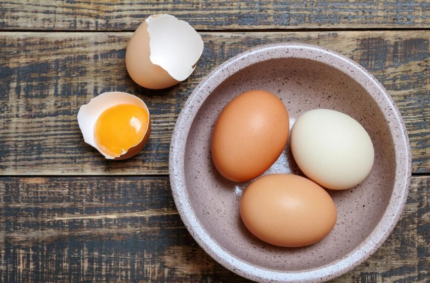  ¿Comer huevo diario es malo para la salud? – GQ México