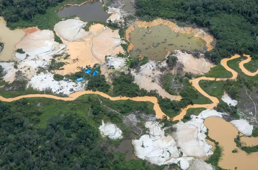  Brasil inicia operación contra las mafias mineras en el norte del país