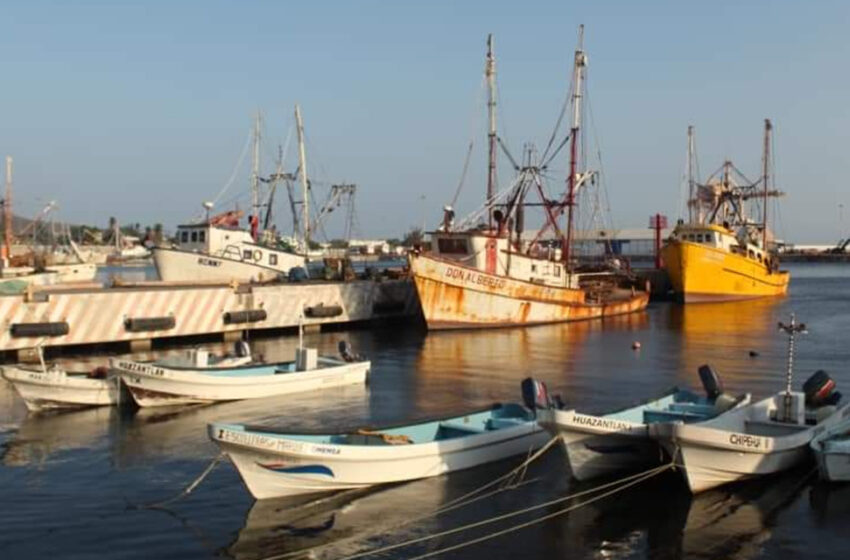  Pescadores piden apoyo antes que termine temporada camaronera | El Imparcial de Oaxaca