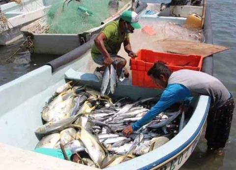  En Veracruz, pescadores podrían iniciar Cuaresma con poca producción