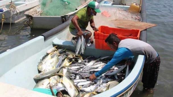  Pescadores inician con pie izquierdo la Cuaresma – Imagen del Golfo