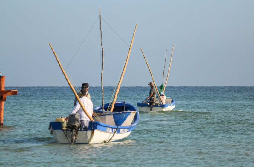  Muertos por descompresión en Yucatán eran pescadores furtivos