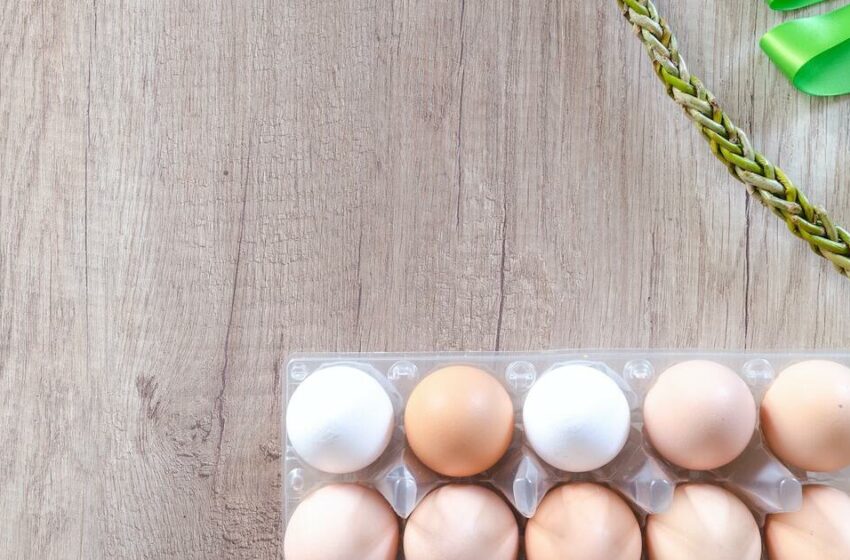  Frescómetro: ¿Cómo saber la frescura que tiene el huevo que consumes? – TV Azteca