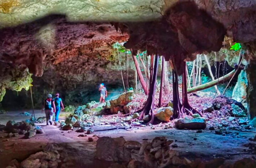  Autoridades fomentan un Tren Maya benévolo; activistas denuncian daños en cuevas