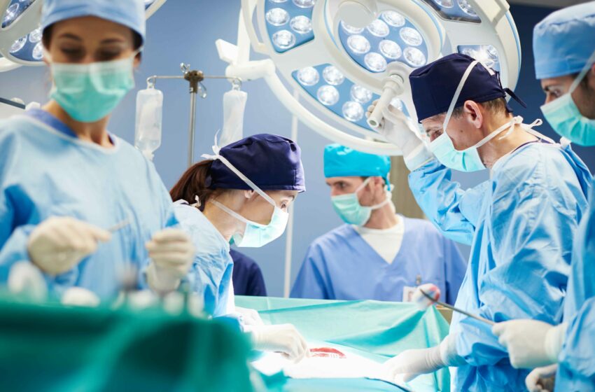  Los trasplantes crecen un 23% en todo tipo de órganos y recuperan cifras prepandemia en España