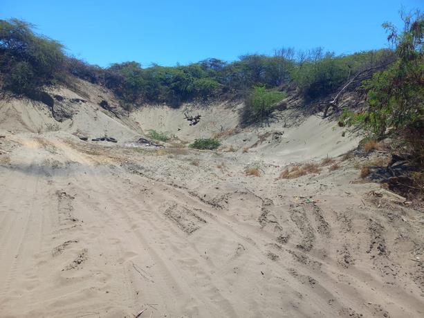  Medio Ambiente dice no ha evidenciado extracción de arena en dunas de Baní sea nueva