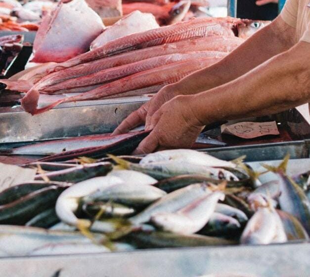  Pagan en Sinaloa hasta seis veces más por pescado de menor calidad; según análisis