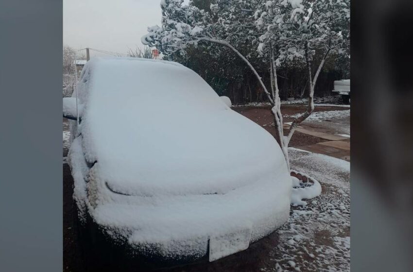  Nevada en Sonora: ¿Qué municipios suspenden las clases por bajas temperaturas?