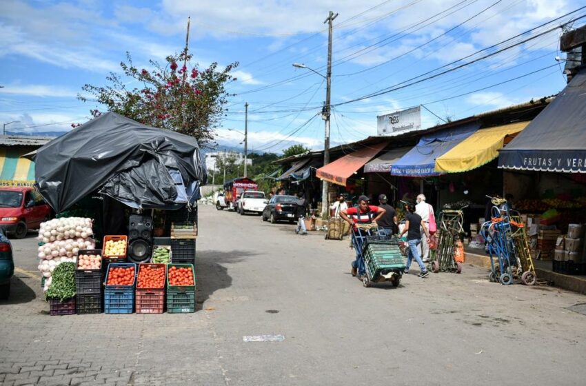  ¡Inestable! Precio de frutas y verduras en Xalapa