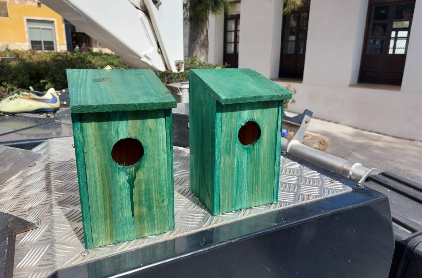  La Concejalía de Medio Ambiente coloca cajas nido para el control de plagas de insectos