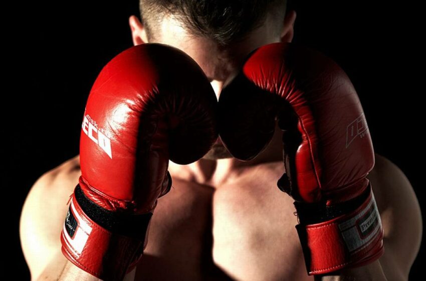  Boxeadores zacatecanos rumbo a los Juegos Nacionales Conade – El Sol de Zacatecas
