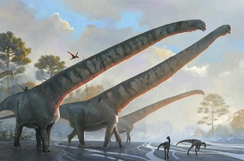  Científico de Long Island descubre cuello de dinosaurio más largo que un autobús escolar