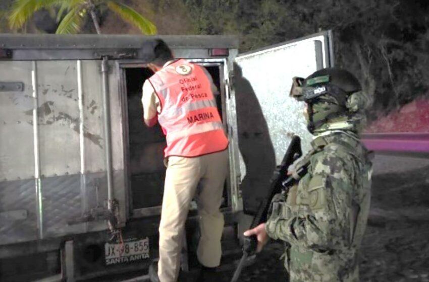  Decomisan 1,600 KG de pescado ilegal en Mismaloya – Tribuna de la Bahía