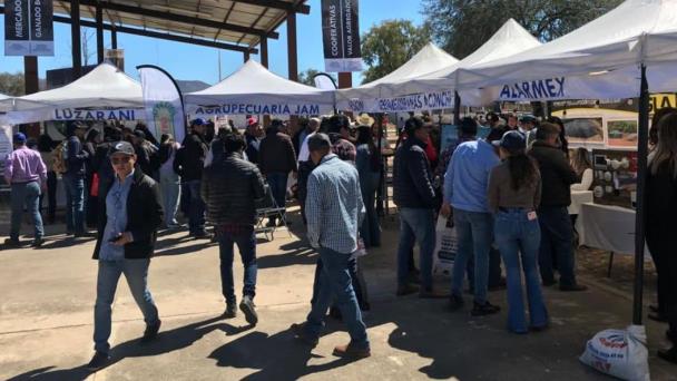  Arranca con éxito Expoagro Río Sonora 2023 – Expreso