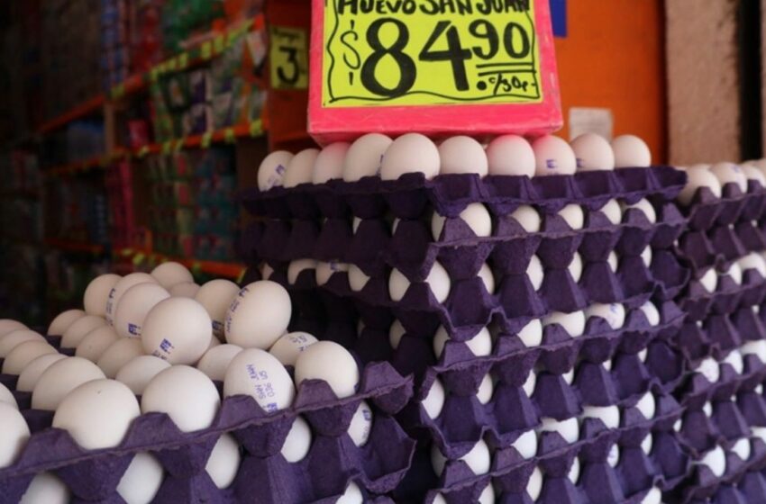  Rebasa incremento de precio del huevo a inflación general | Periodico El Vigia