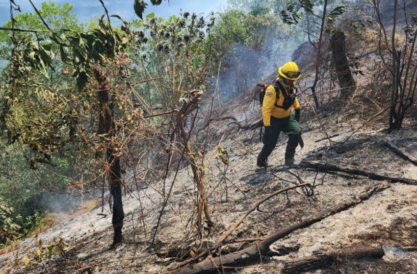  Ministerio de Medio Ambiente persigue a desaprensivos provocaron incendios; bomberos …