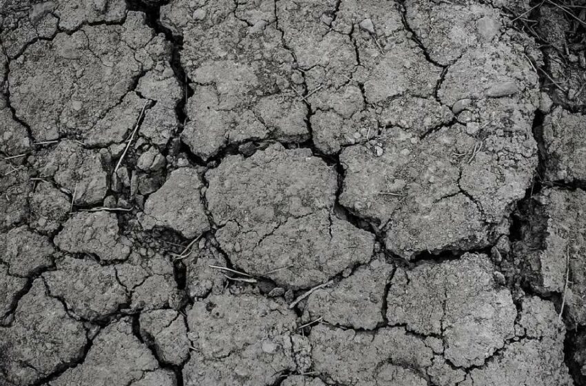  La mitad de México está en sequía; estos son los estados sin agua