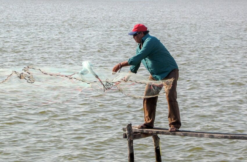  Pescarán, pero billetes los beneficiados del Bienpesca – Punto MX