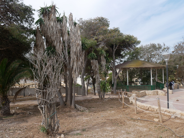  Medio Ambiente verá si ha habido delito en el Parque Lobera para denunciar al … – Melilla Hoy