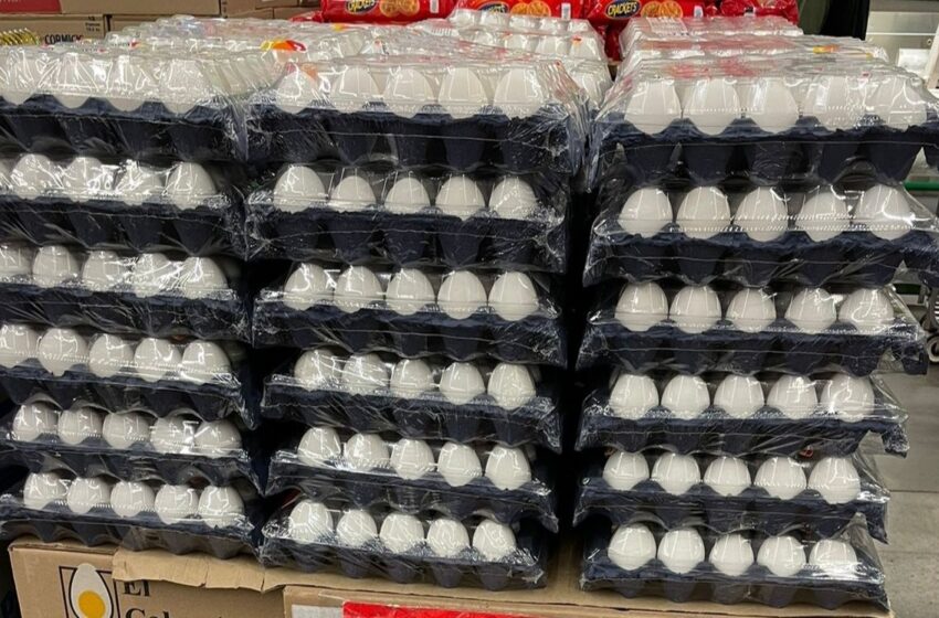  Limitan venta de huevo en tiendas comerciales de Tampico – Grupo Milenio
