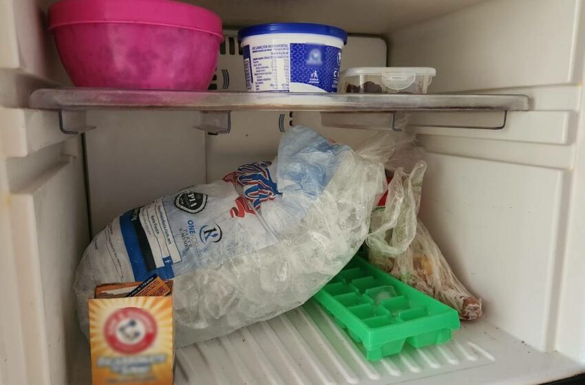  ¿Es recomendable refrigerar los alimentos? – El Sol de Hidalgo