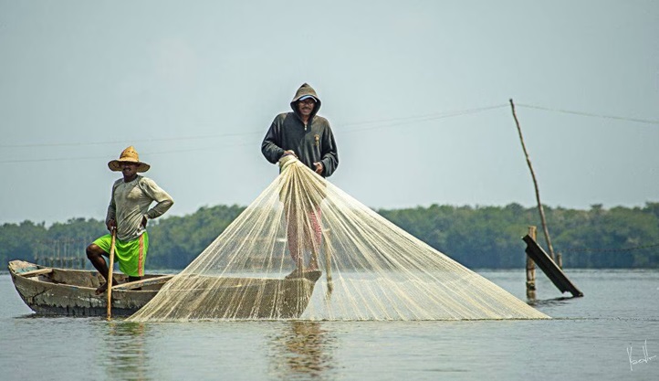  México en riesgo de perder recursos pesqueros – Monitor Economico