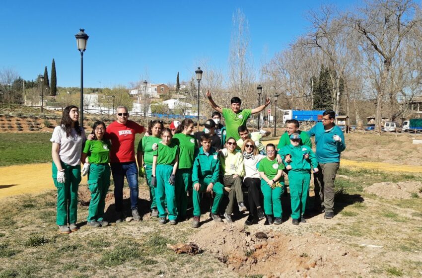  Medio Ambiente promueve en Valdepeñas una plantación de 240 árboles con alumnado de …