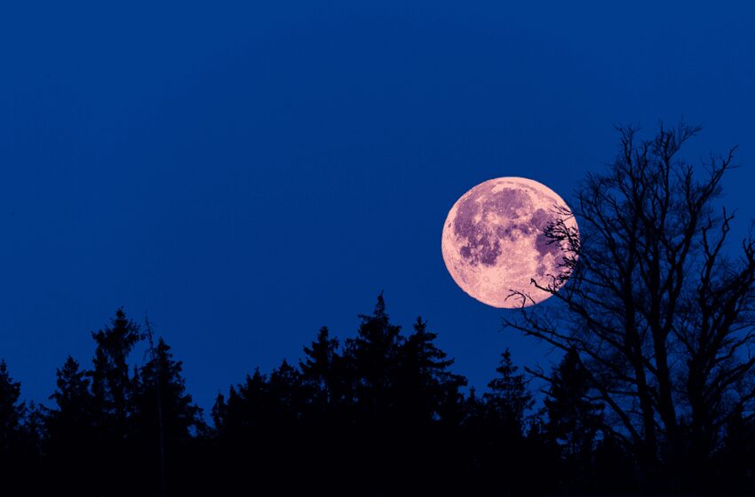  Luna rosa 2023: a qué hora se ve la luna llena de abril y por qué se llama así