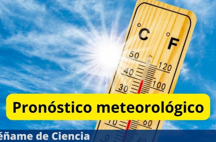  Calor azotará diferentes estados: El SMN prevé temperaturas superiores a 40 °C