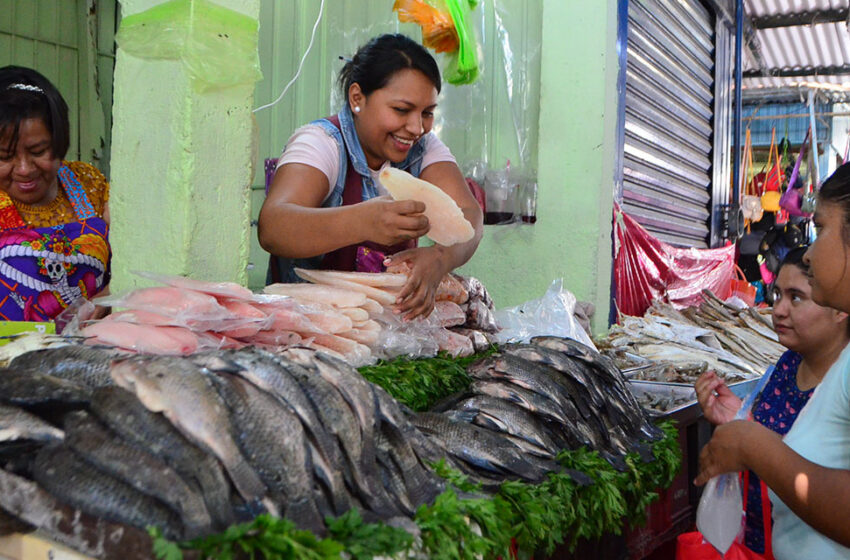  Arpón a bolsillos; aumenta pescado 8.07% en Cuaresma – El Imparcial de Oaxaca