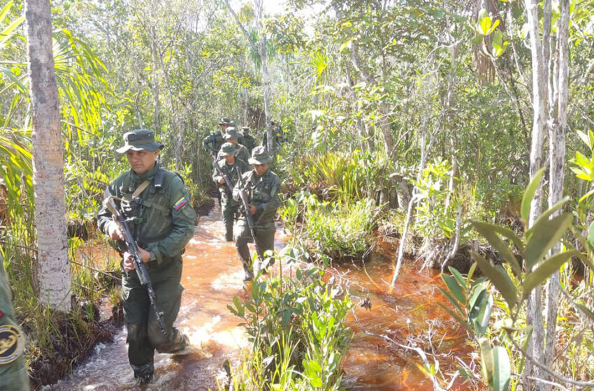 Destruyen equipos usados para minería ilegal en Amazonía – Correo del Caroní