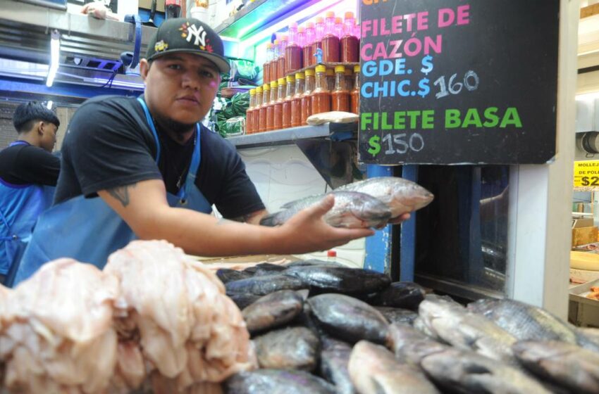  Mercado Aldama, un lugar para consumir alimentos del mar – El Sol de León