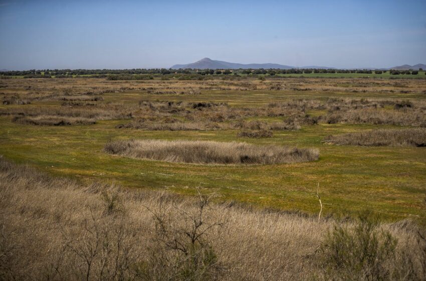  Humedales españoles en peligro de muerte | Clima y Medio Ambiente – EL PAÍS