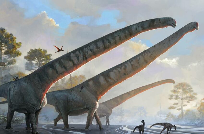  Este es el dinosaurio con el cuello más largo