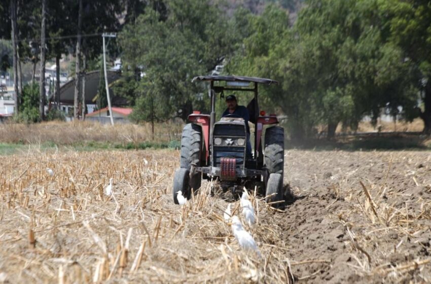  Campesinos en Puebla se preparan para lo peor ante la sequía
