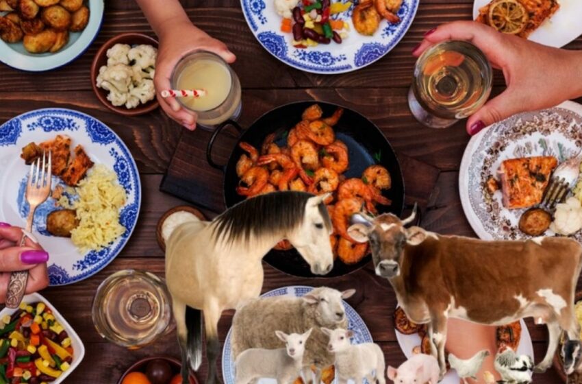  Conoce la lista de animales que no debes de comer, según la Biblia | El Mañana de Nuevo Laredo
