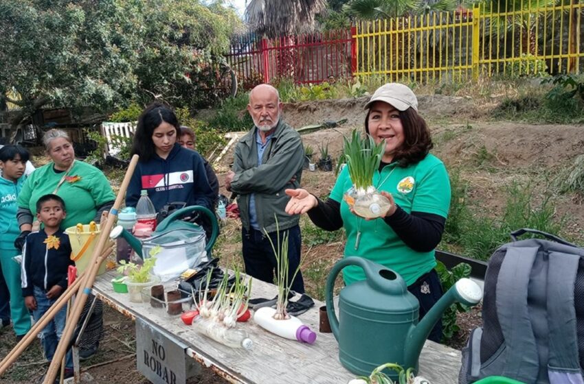  Enseñan con un ejemplo vivo por el bien del medio ambiente | Periodico El Vigia